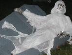 Coffin Skeleton