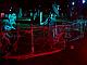 at_the_fence_07
